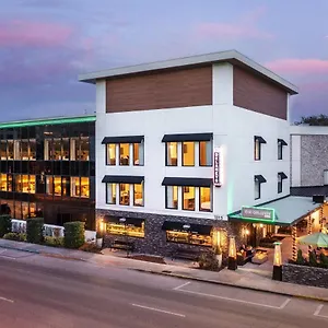 *** Hotel The Delaney Estados Unidos